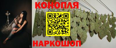 крисы Донецк