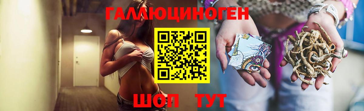 Псилоцибиновые грибы Magic Shrooms  Вход с VPN  Нальчик  сколько стоит  Галлюциногенные грибы MAGIC MUSHROOMS 